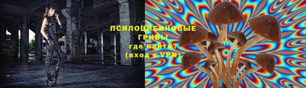 круглые Горно-Алтайск