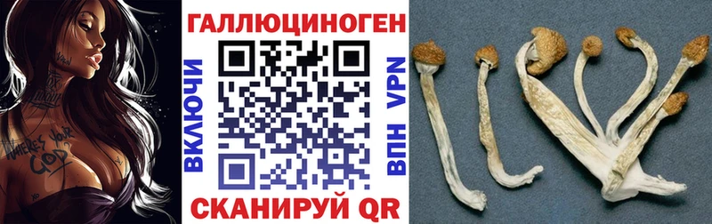 hydra маркетплейс  Иланский  площадка формула  Галлюциногенные грибы MAGIC MUSHROOMS 